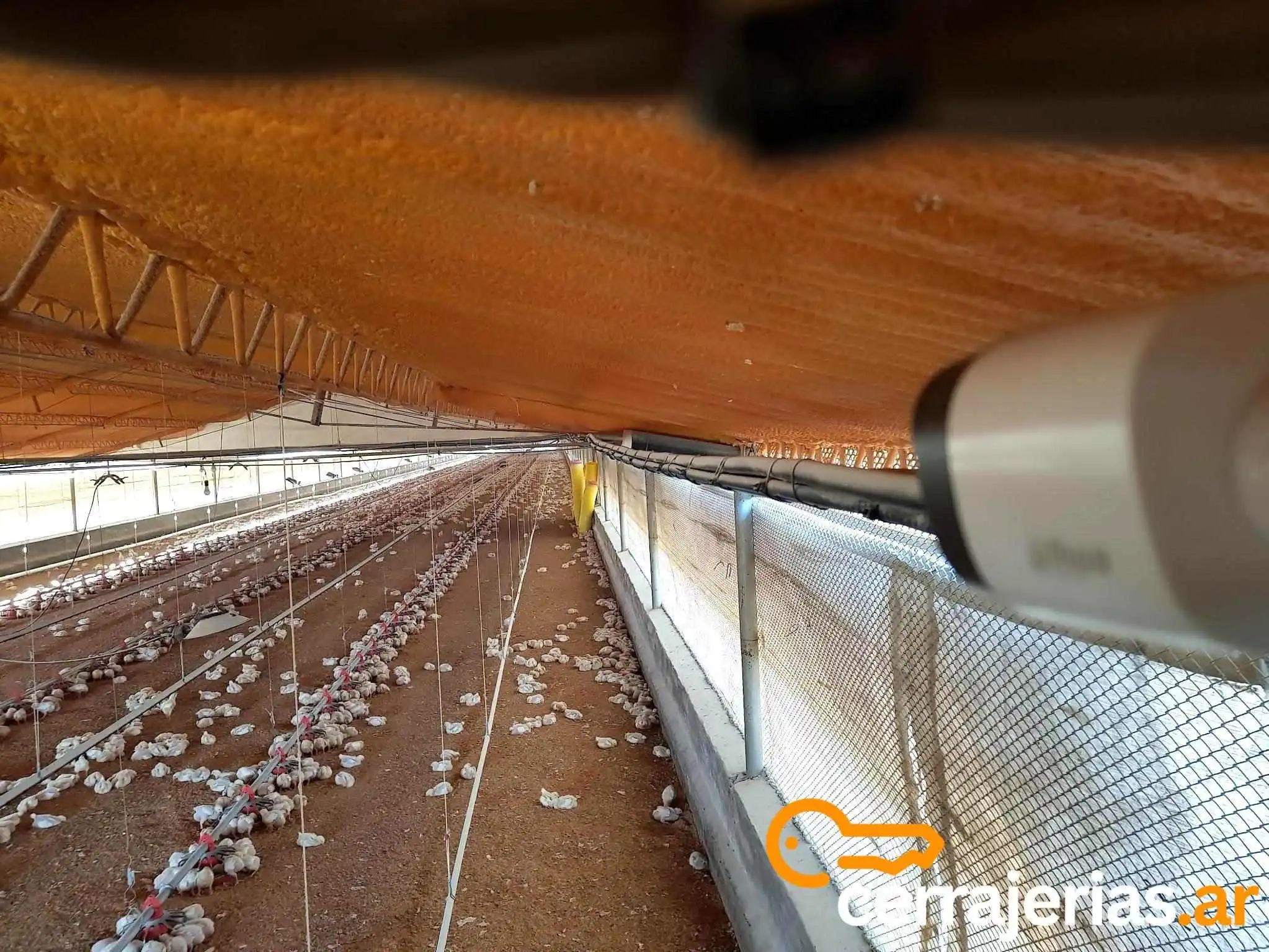 La Consola Digital - 60 Granaderos & La Consola Digital - 60 Granaderos &