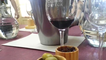 Bodega Callejón Ortega - Vistalba