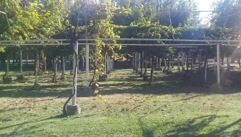Camping Atsa - Villa Krause