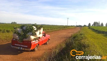 Campo Viera - Campo Viera