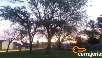 Cintra - Cintra