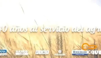Distribuidora Almafuerte - Paraná