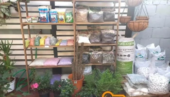 El bunker de las flores - Misiones