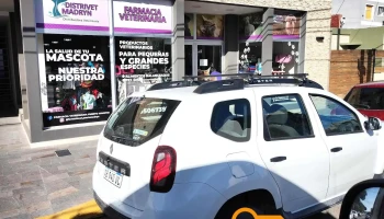 Fortin - Francisco Luis Albarracín 315