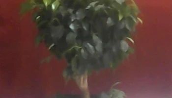 ip.Sistemas - Rivadavia 656 ip.Sistemas - Rivadavia 656