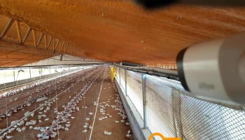 La Consola Digital - 60 Granaderos & La Consola Digital - 60 Granaderos &