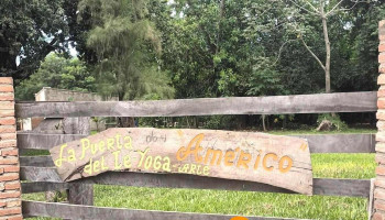 La Puerta del Te, Yoga y Arte - Resistencia