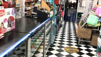 Libreria Lerma - Salta