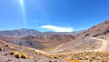 Pastoras De Altura - Salta