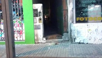 Sistemas Tecnología Y Seguridad - 9 De Julio 250 Sistemas Tecnología Y Seguridad - 9 De Julio 250