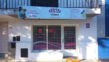 Strix Paraná - Paraná