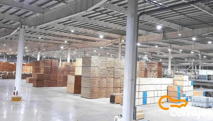 Acon Timber -  Mas Recientes - Gdor. Virasoro