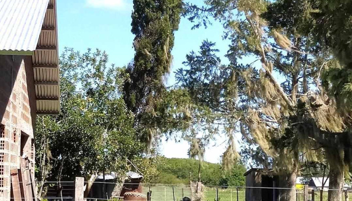Aldea San Antonio - Aldea San Antonio