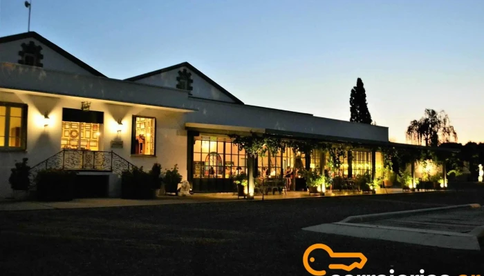 Altieri Wines -    Vinorum Del Propietario - Luján de Cuyo
