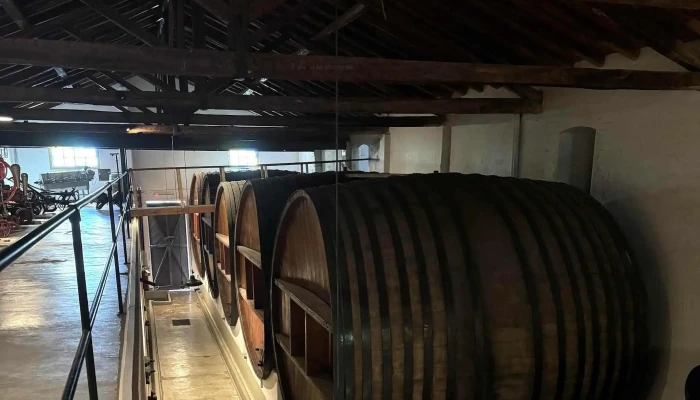 Altieri Wines -    Vinorum Direccion - Luján de Cuyo