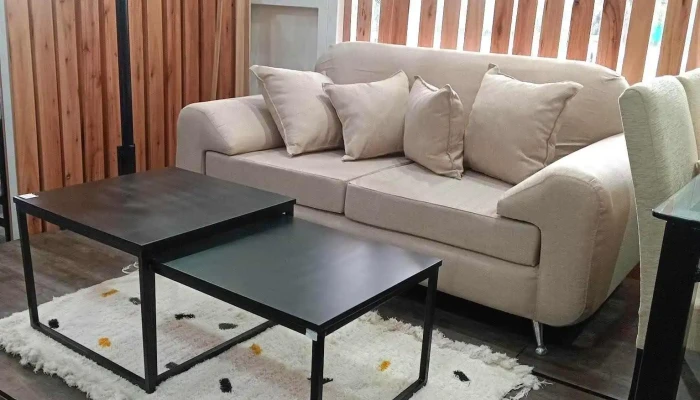America Muebles Del Propietario - Jesus María