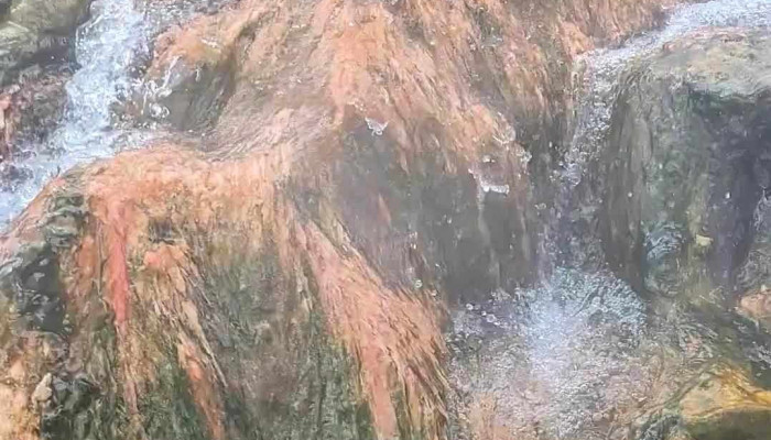 Antofagasta De La Sierra -  Videos - Antofagasta de la Sierra