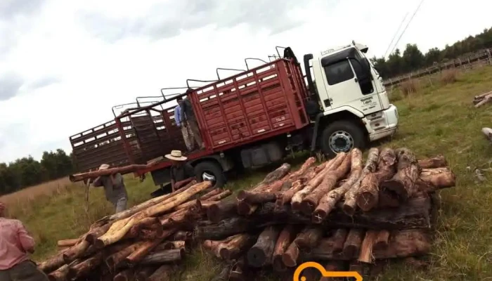 Aratto Carpinteria -  Maderera De Jaime Aratto Madera - Esquina