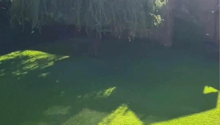Balcon De La Montana Videos - Santa Rosa de Calamuchita