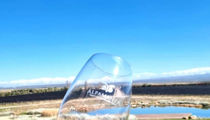 Bodega Alpamanta -  Instagram - Luján de Cuyo