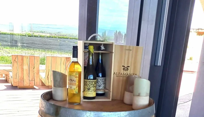 Bodega Alpamanta -  Zona - Luján de Cuyo