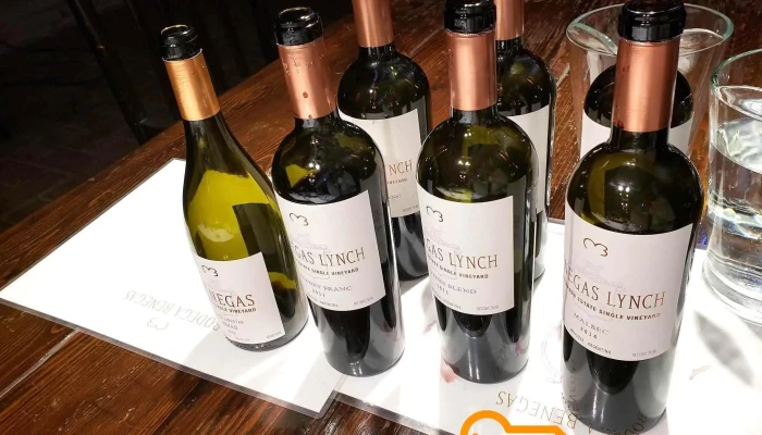 Bodega Benegas -  Botella - Luján de Cuyo