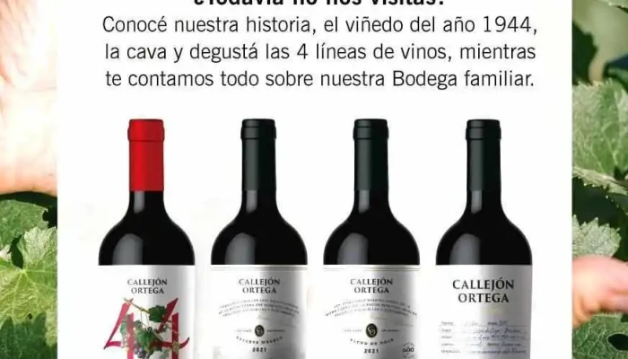 Bodega Callejon Ortega Del Propietario - Vistalba