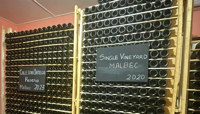 Bodega Callejon Ortega Precios - Vistalba