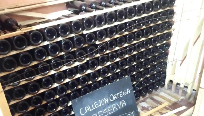 Bodega Callejon Ortega Telefono - Vistalba