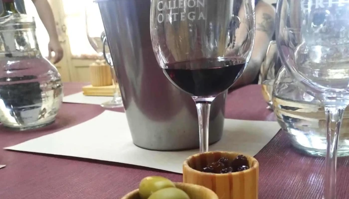 Bodega Callejón Ortega - Vistalba