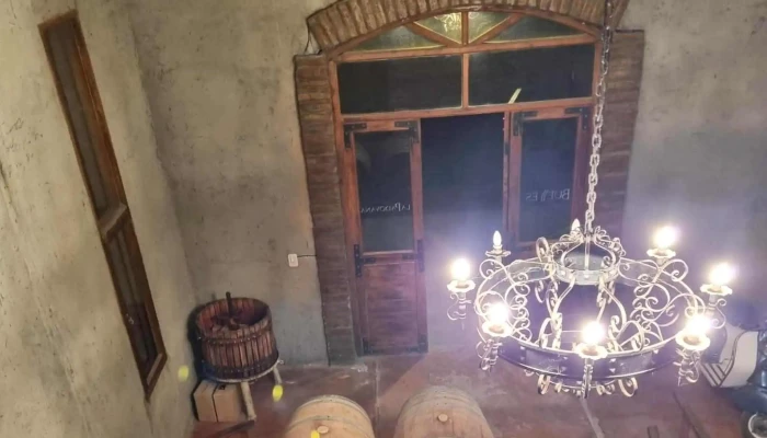 Bodega Canepa Martin Como Llegar - Luján de Cuyo