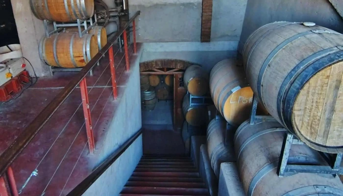 Bodega Canepa Martin Opiniones - Luján de Cuyo