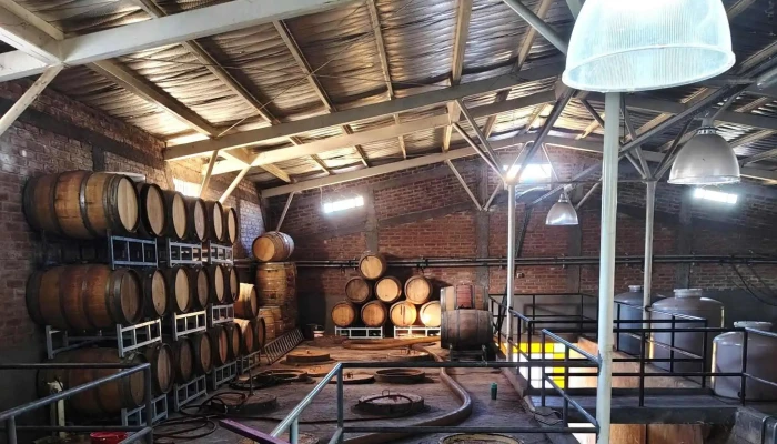 Bodega Canepa Martin Promocion - Luján de Cuyo