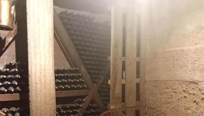 Bodega Canepa Martin Videos - Luján de Cuyo
