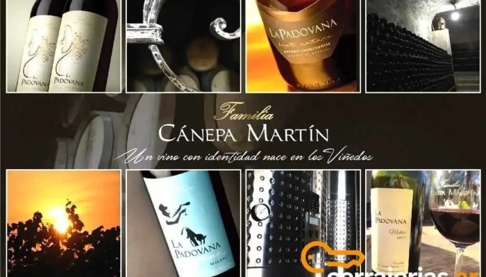 Bodega Canepa Martin Vino - Luján de Cuyo