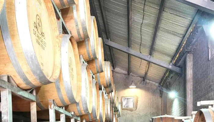 Bodega De Angeles Old Vines Vistalba Vina 1924 Abierto Ahora - Luján de Cuyo
