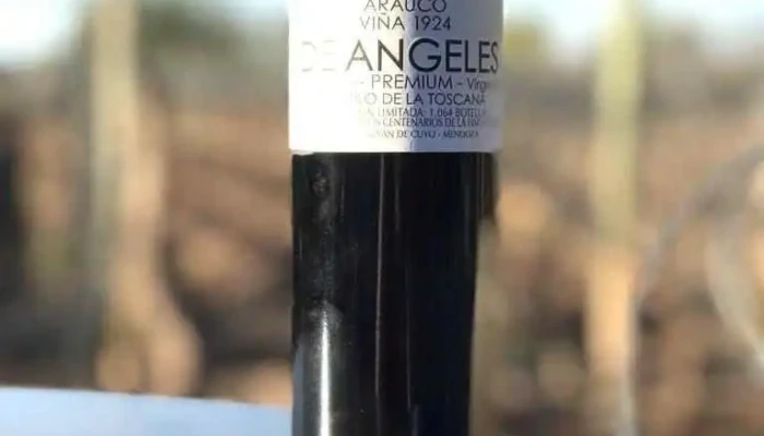 Bodega De Angeles Old Vines Vistalba Vina 1924 Botella - Luján de Cuyo