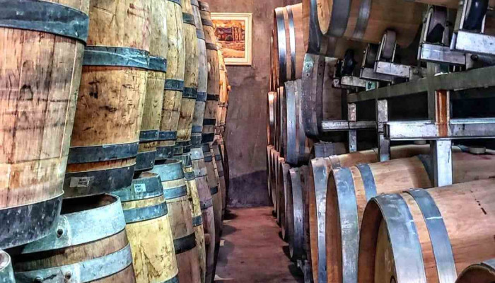Bodega De Angeles Old Vines Vistalba Vina 1924 Del Propietario - Luján de Cuyo