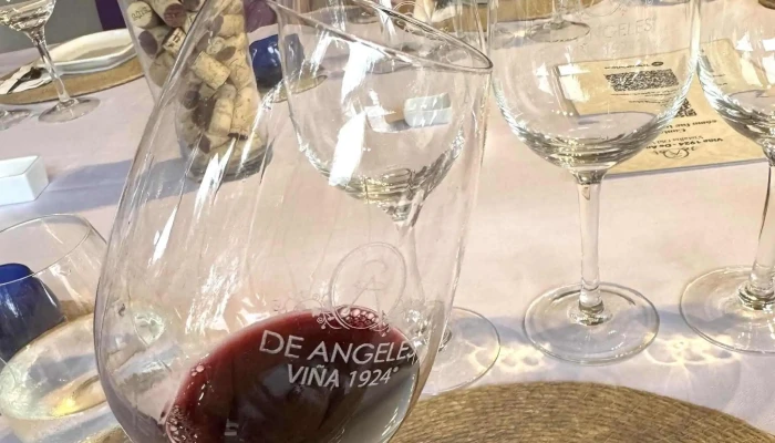 Bodega De Angeles Old Vines Vistalba Viña 1924 - Luján De Cuyo