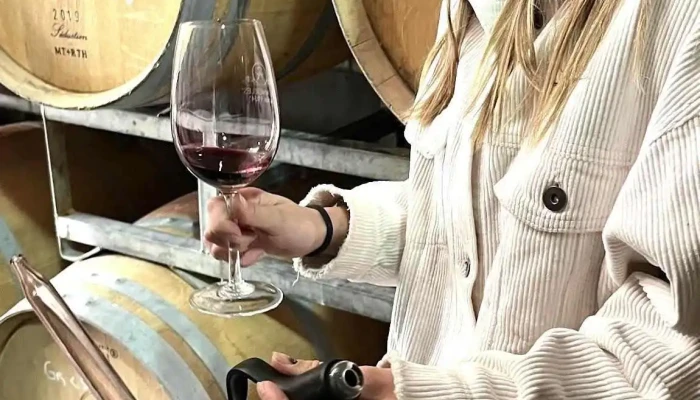 Bodega De Angeles Old Vines Vistalba Vina 1924 Vino - Luján de Cuyo