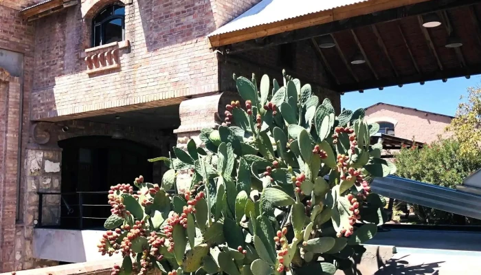 Bodega Dos Familias -  Direccion - Luján de Cuyo