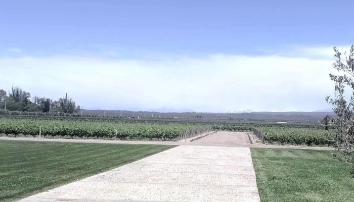 Bodega Pulenta Estate -  Fotos - Luján de Cuyo