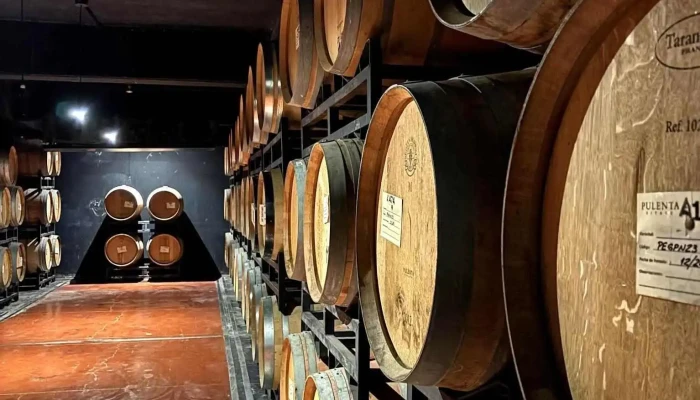 Bodega Pulenta Estate -  Mas Recientes - Luján de Cuyo
