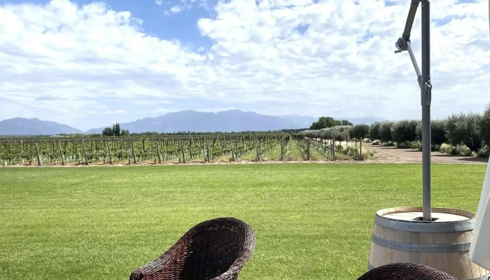 Bodega Pulenta Estate -  Numero - Luján de Cuyo