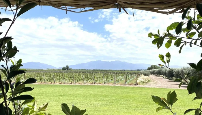 Bodega Pulenta Estate -  Precios - Luján de Cuyo