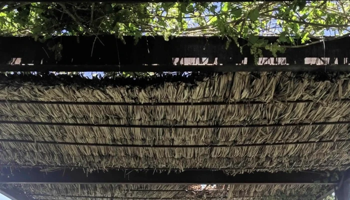 Bodega Pulenta Estate -  Ubicacion - Luján de Cuyo