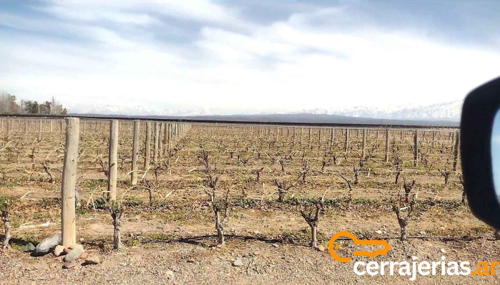 Bodega Pulenta Estate -  Videos - Luján de Cuyo