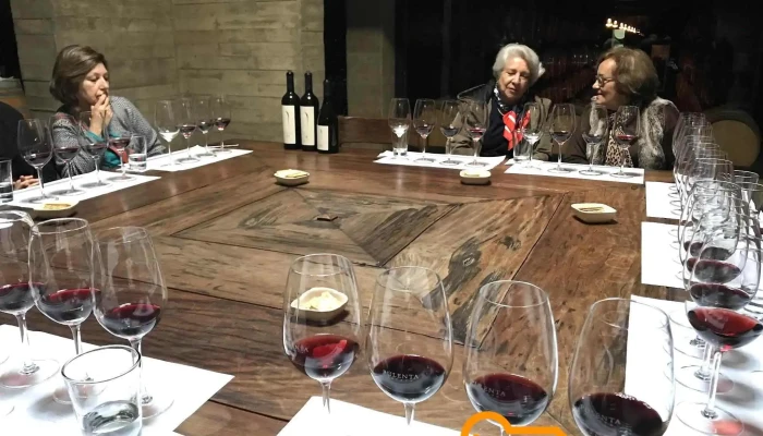 Bodega Pulenta Estate -  Vino - Luján de Cuyo