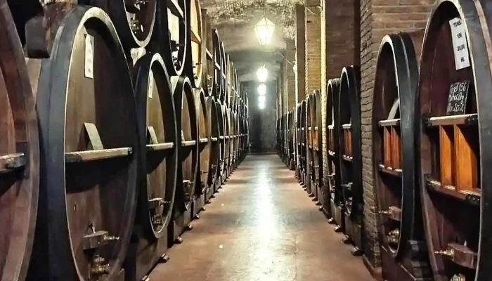 Bodega Y Cavas De Weinert -  Mas Recientes - Luján de Cuyo