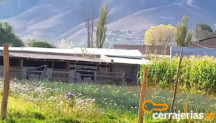 Camping El Jardin Exterior - Tilcara